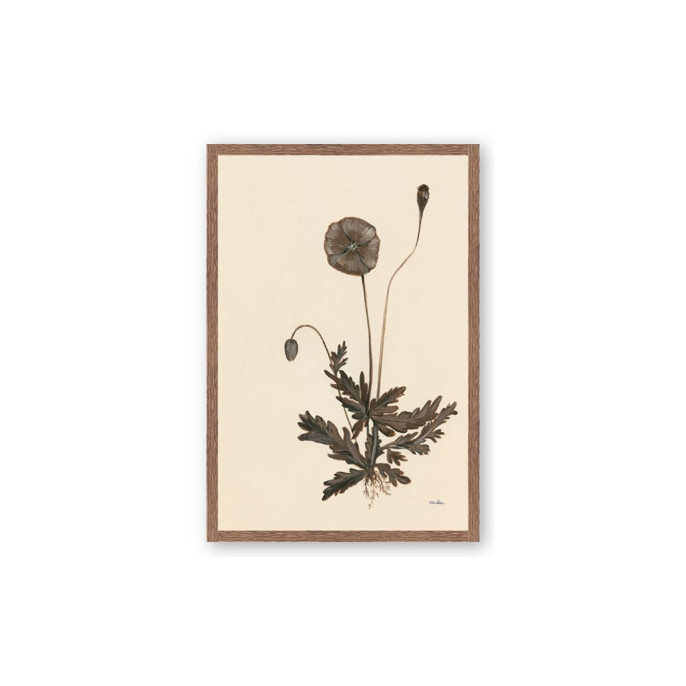 Vintage Botanical II
