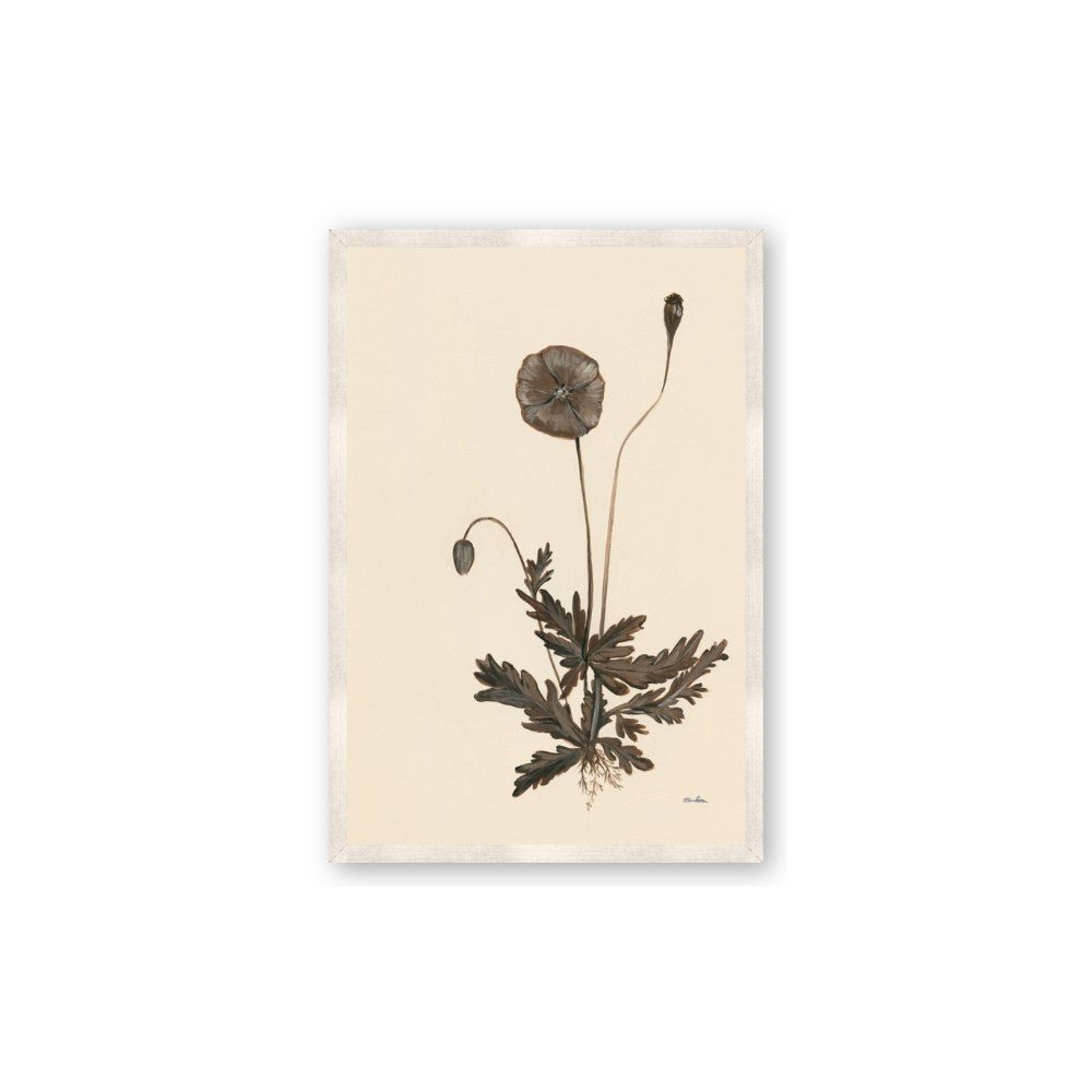 Vintage Botanical II