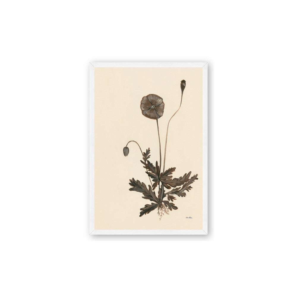 Vintage Botanical II