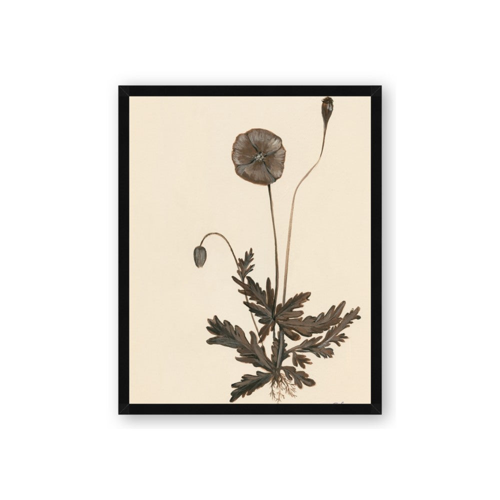 Vintage Botanical II