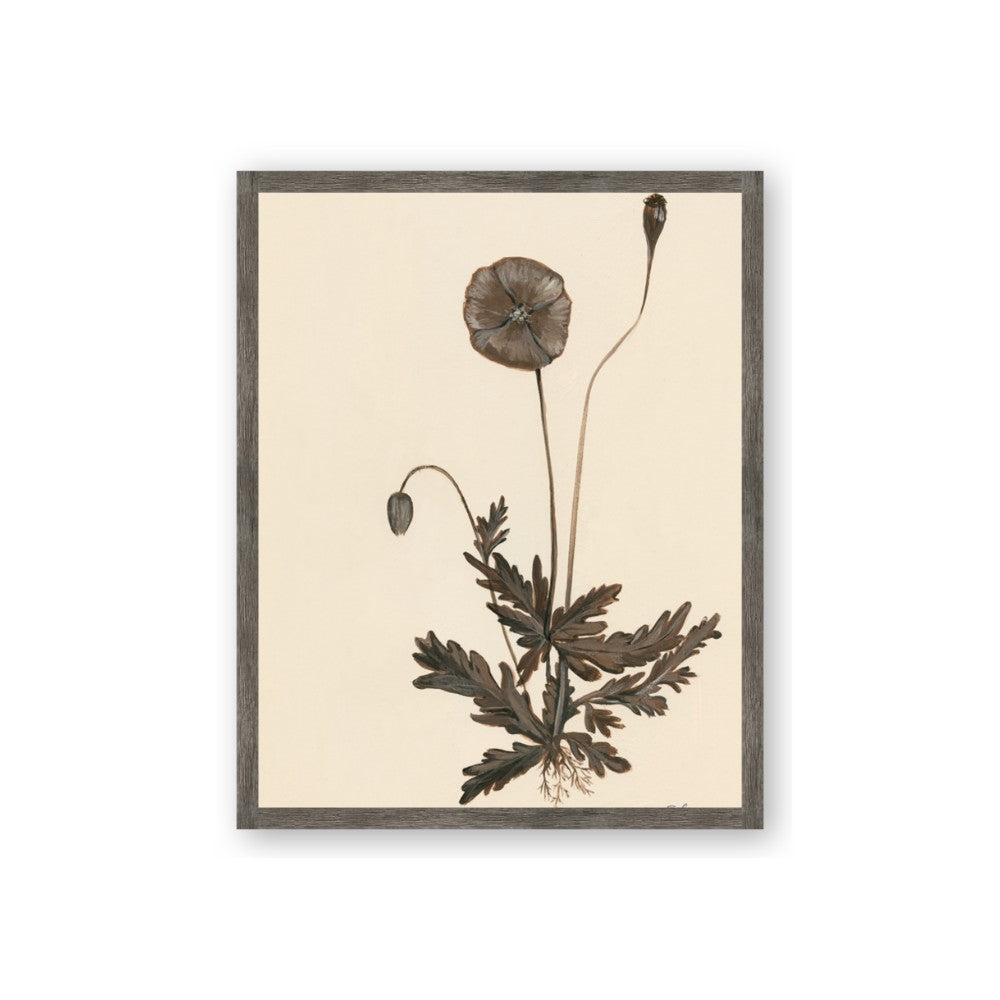Vintage Botanical II