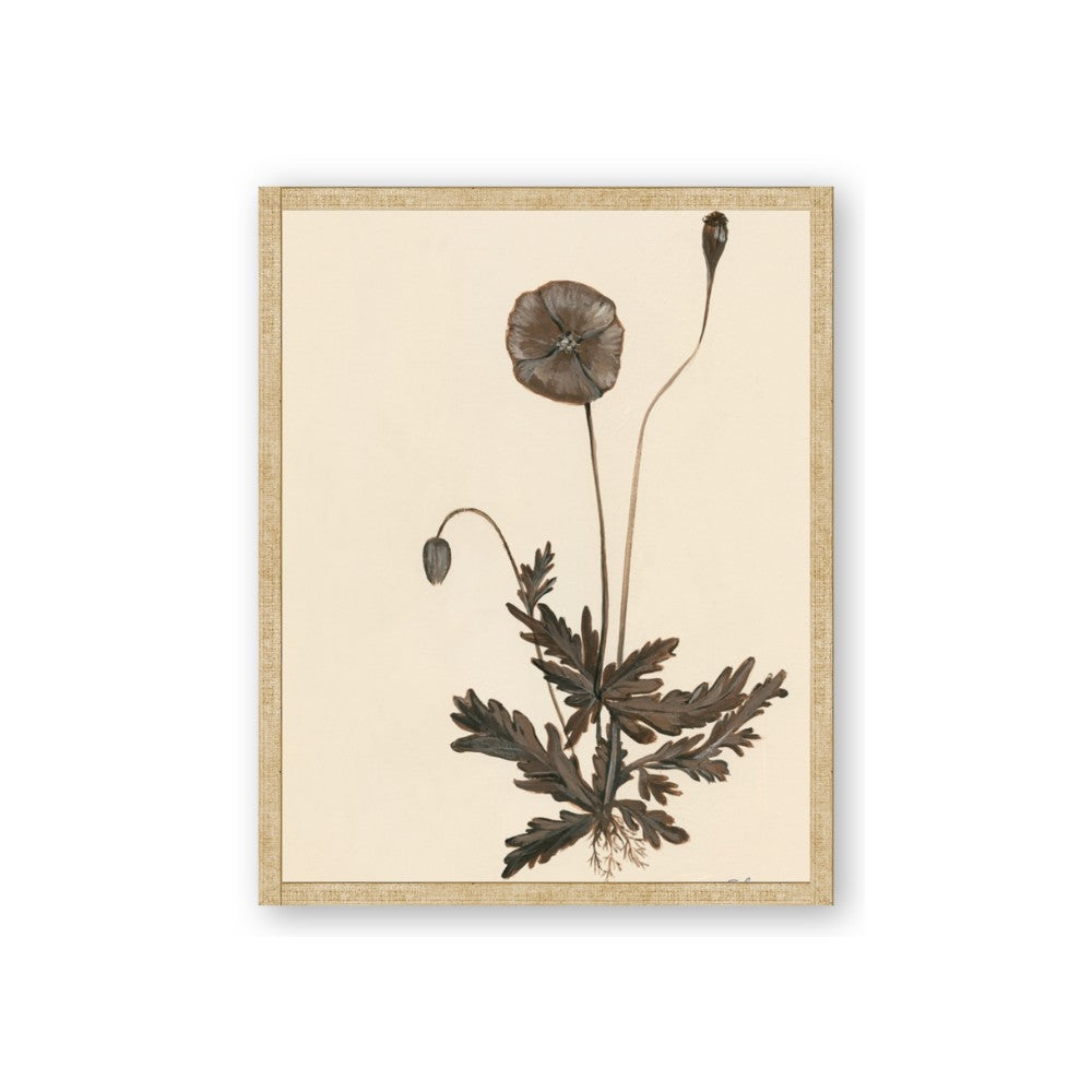 Vintage Botanical II