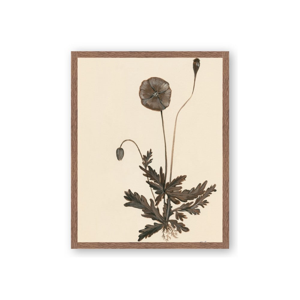 Vintage Botanical II