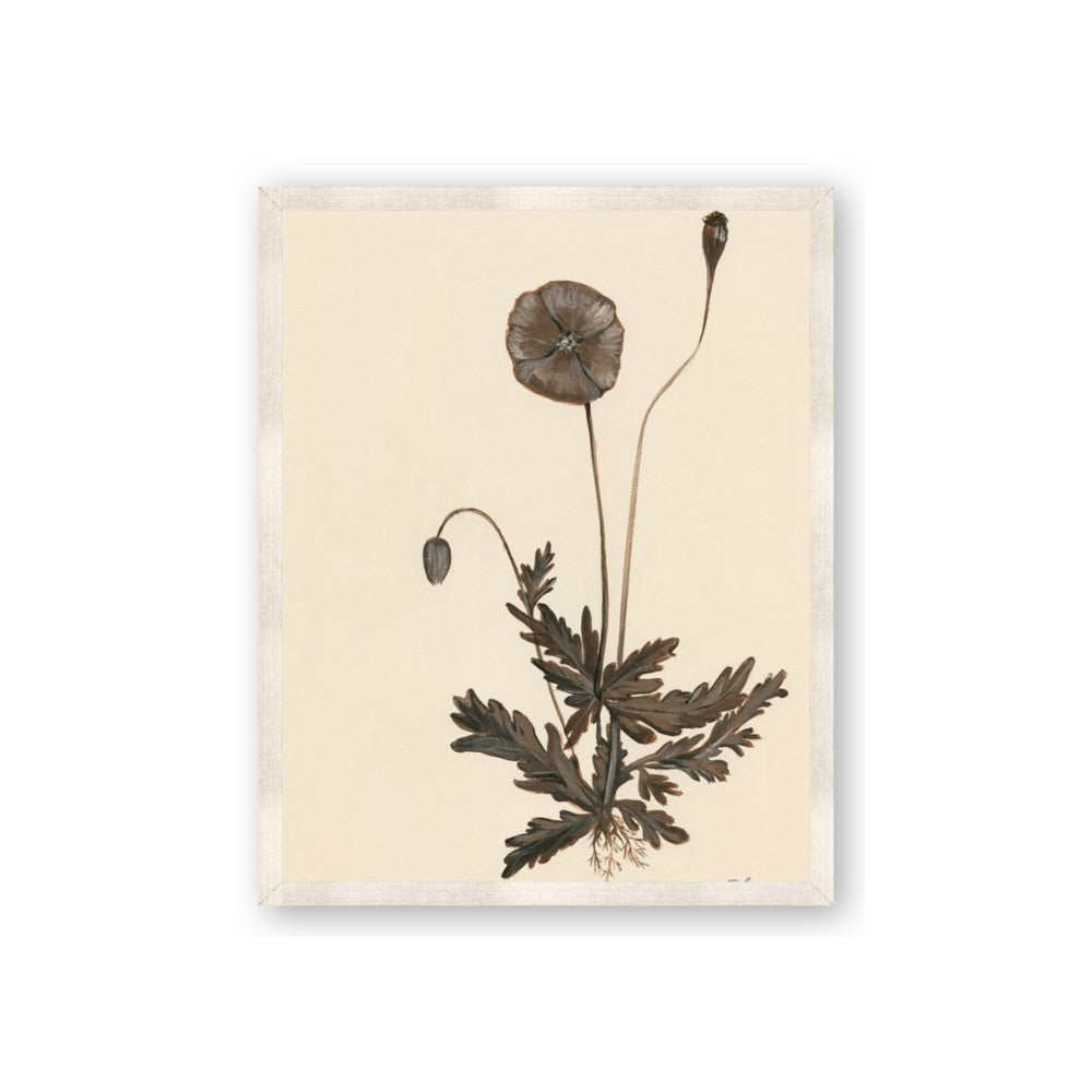 Vintage Botanical II