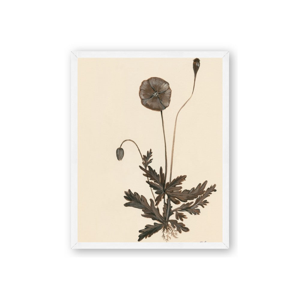 Vintage Botanical II