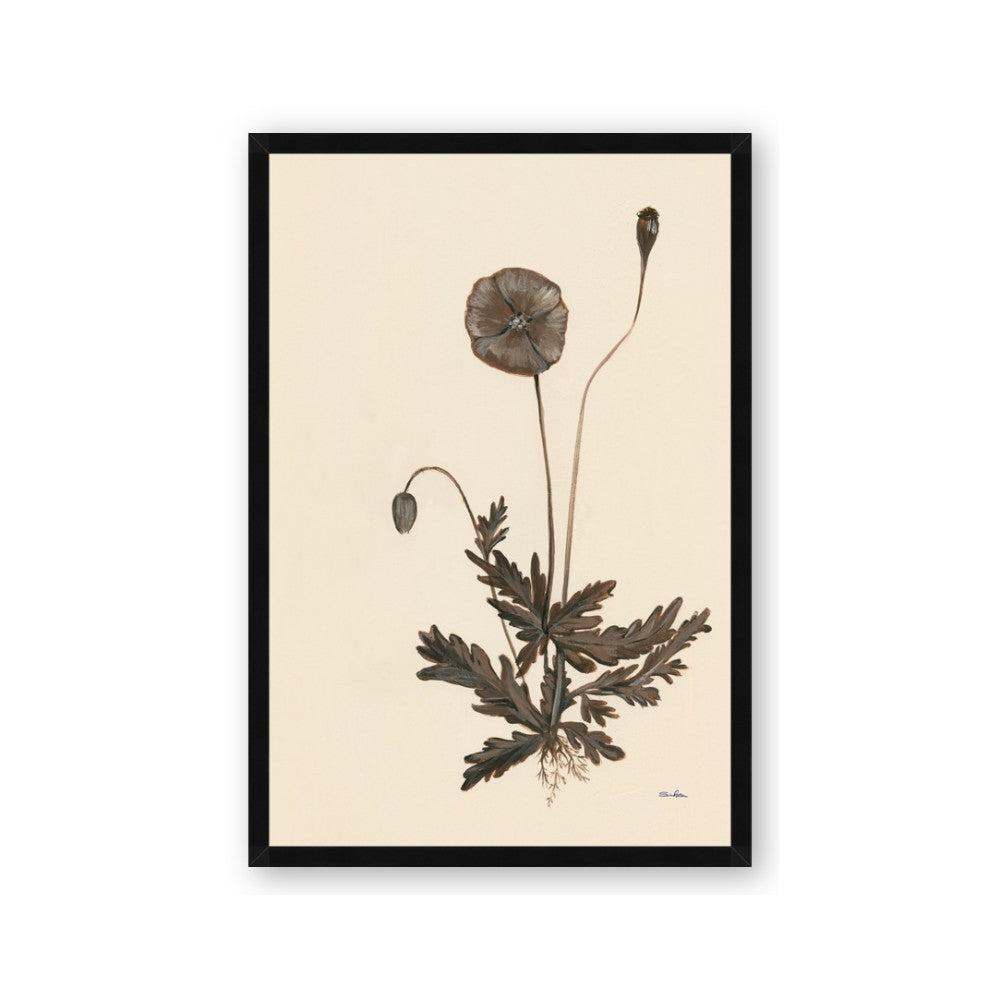 Vintage Botanical II