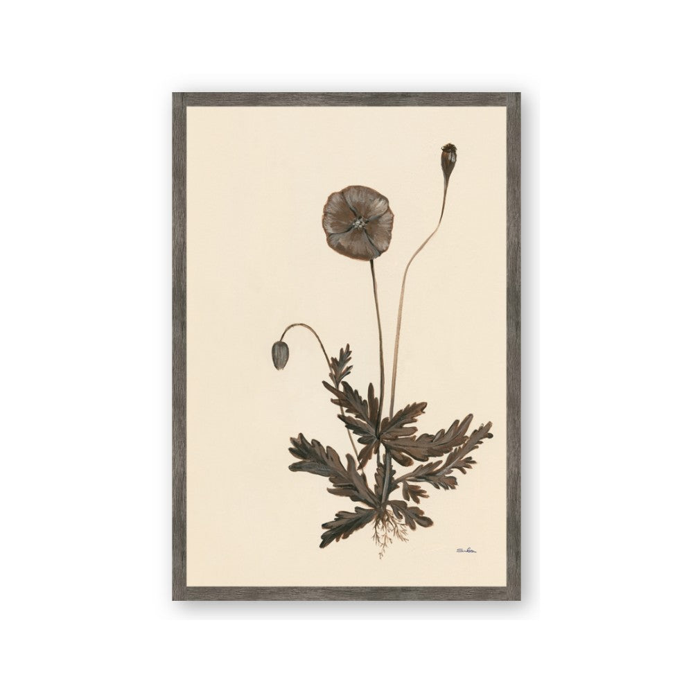 Vintage Botanical II