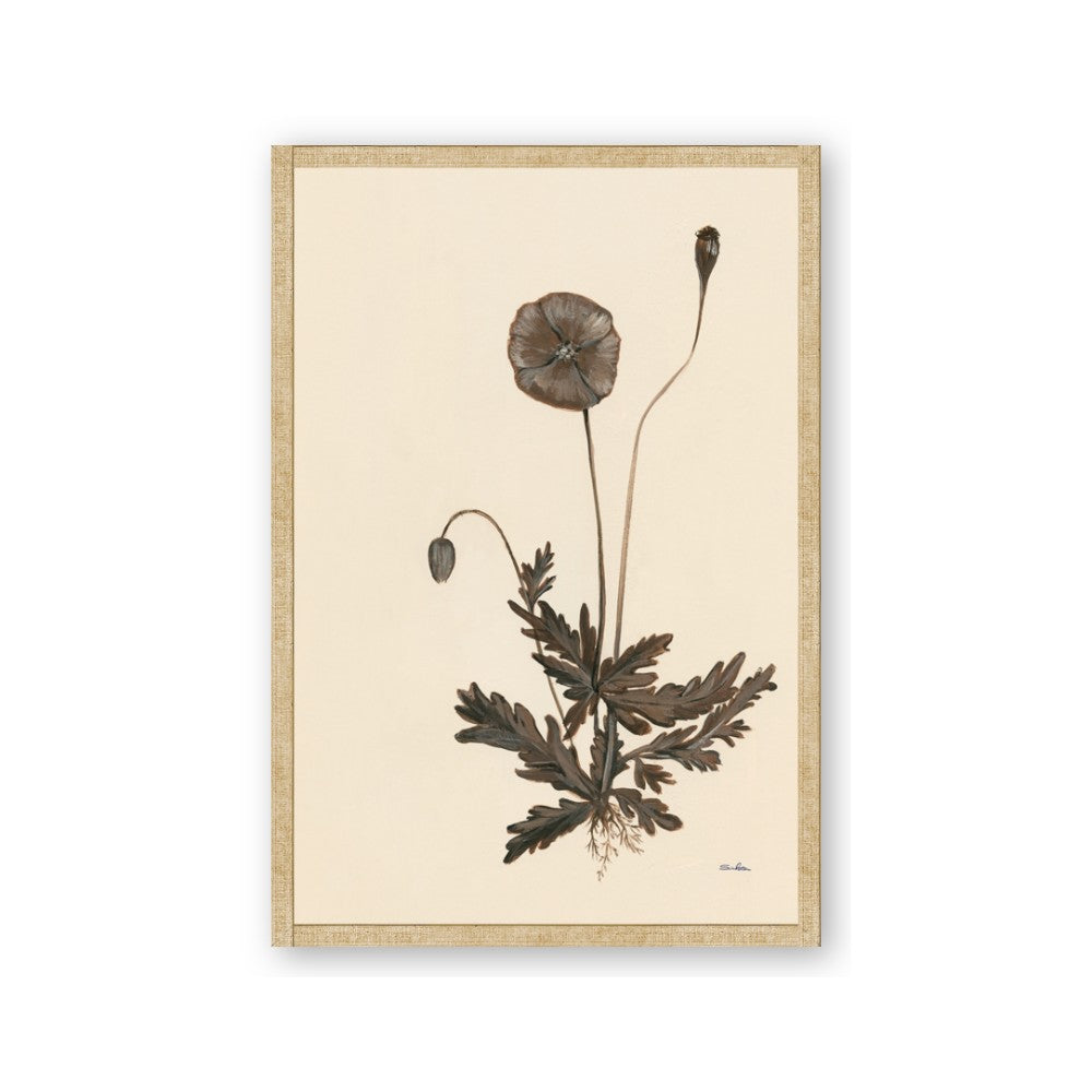 Vintage Botanical II