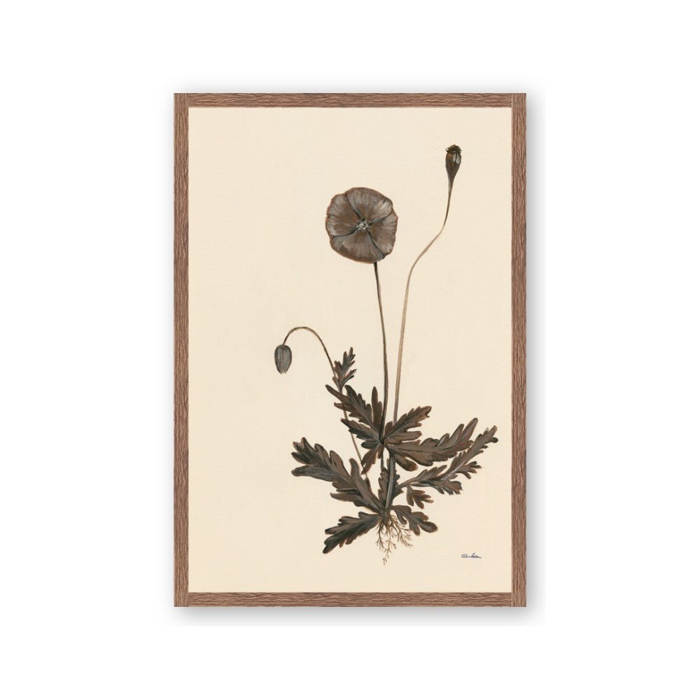 Vintage Botanical II