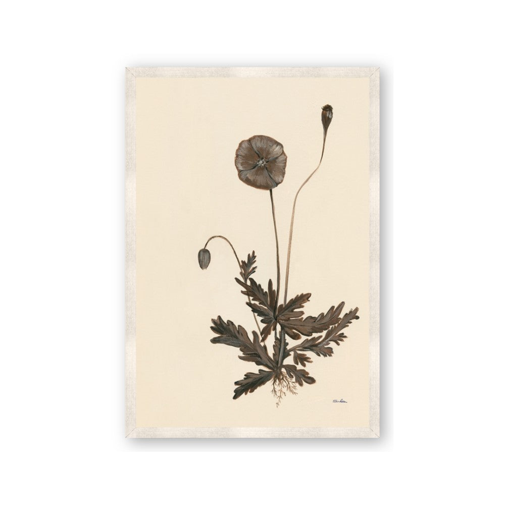 Vintage Botanical II