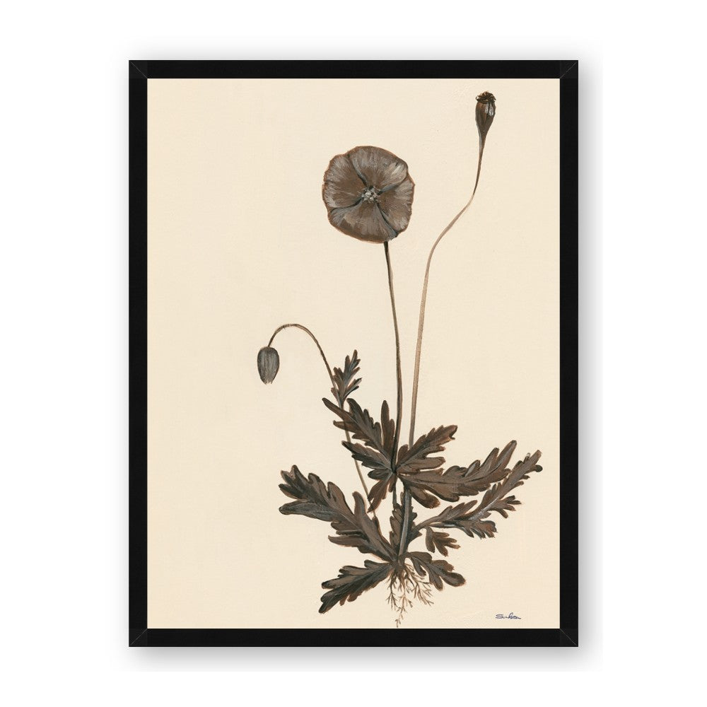 Vintage Botanical II