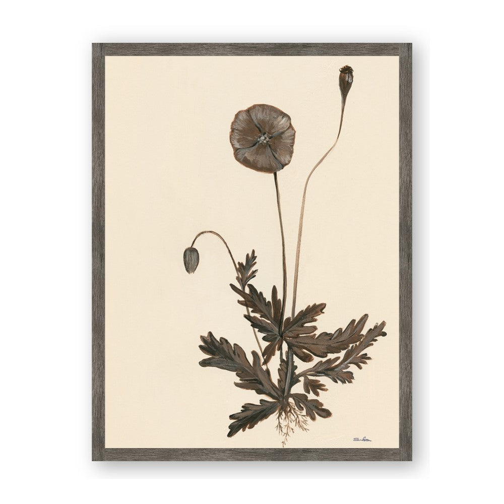 Vintage Botanical II