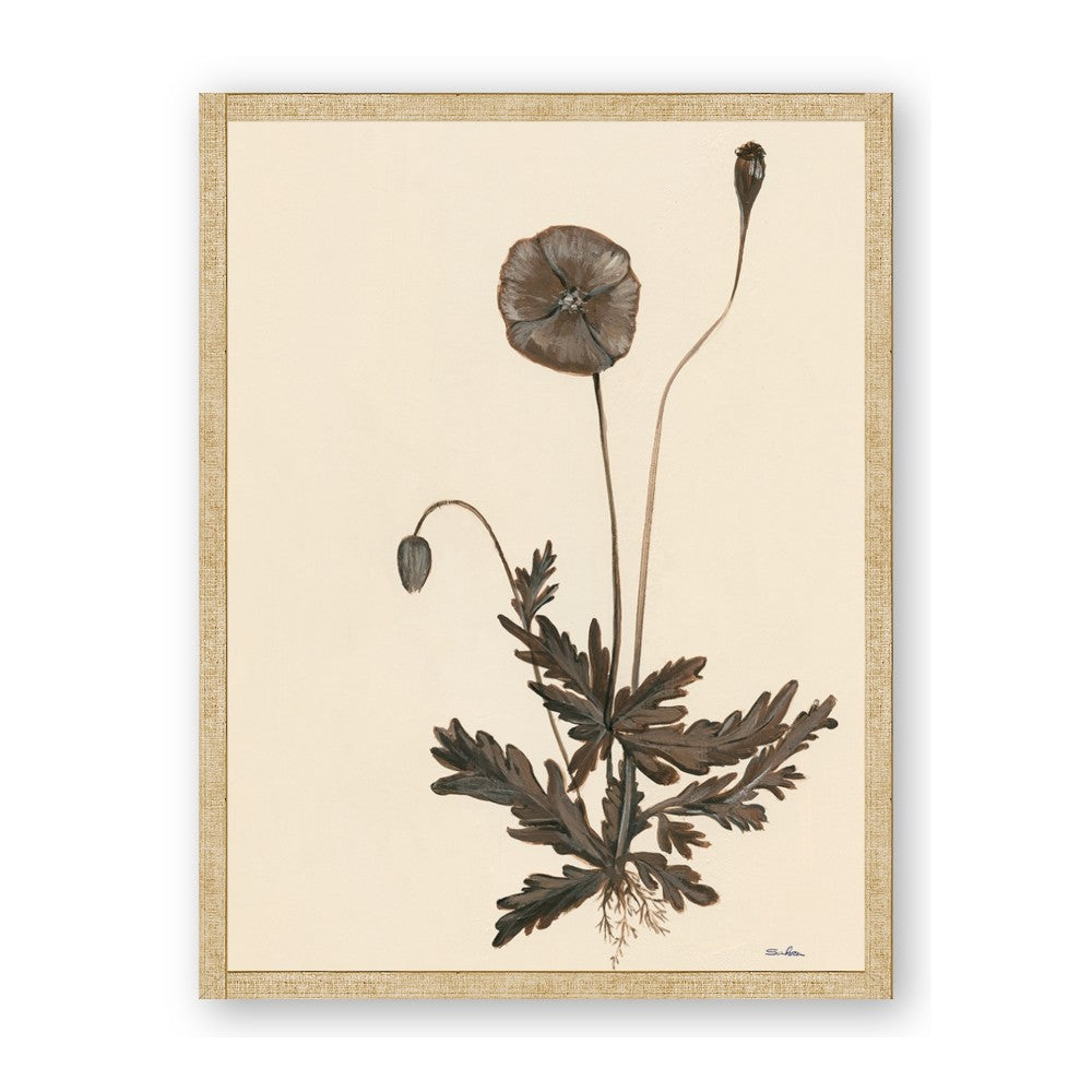 Vintage Botanical II