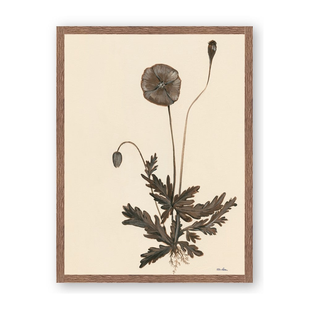 Vintage Botanical II