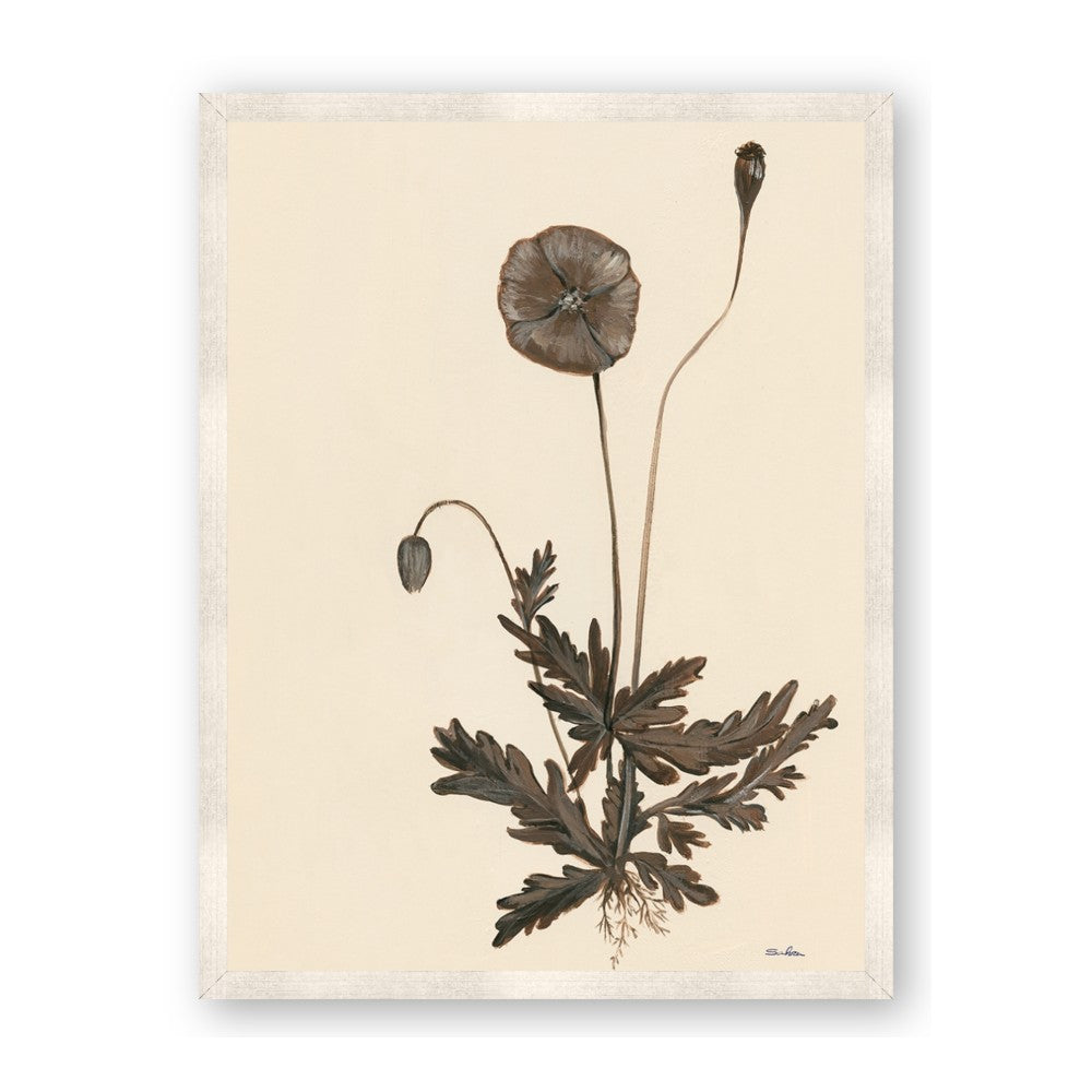 Vintage Botanical II