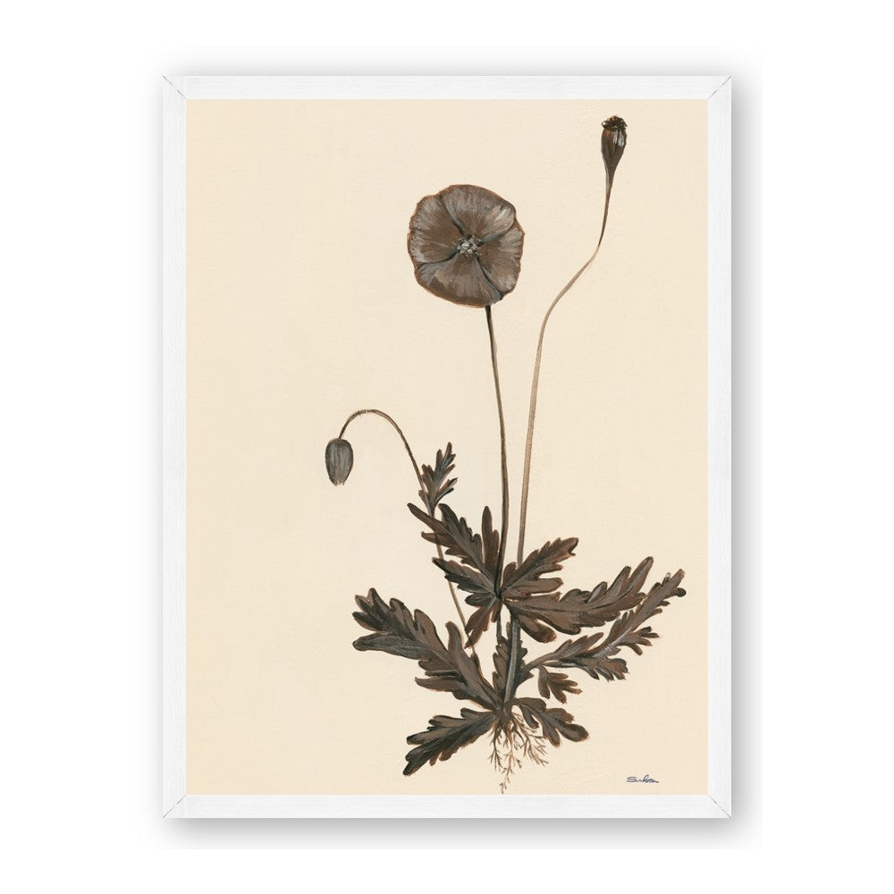 Vintage Botanical II