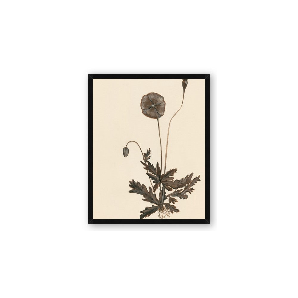 Vintage Botanical II