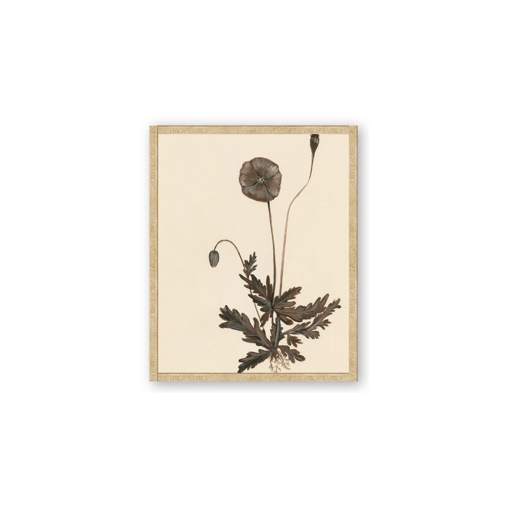 Vintage Botanical II
