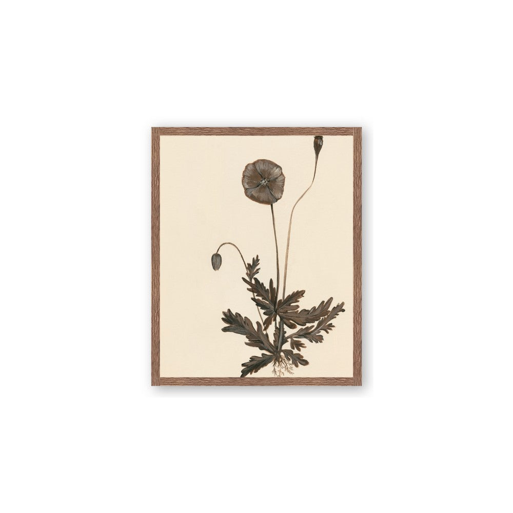 Vintage Botanical II