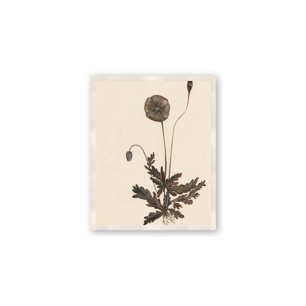 Vintage Botanical II