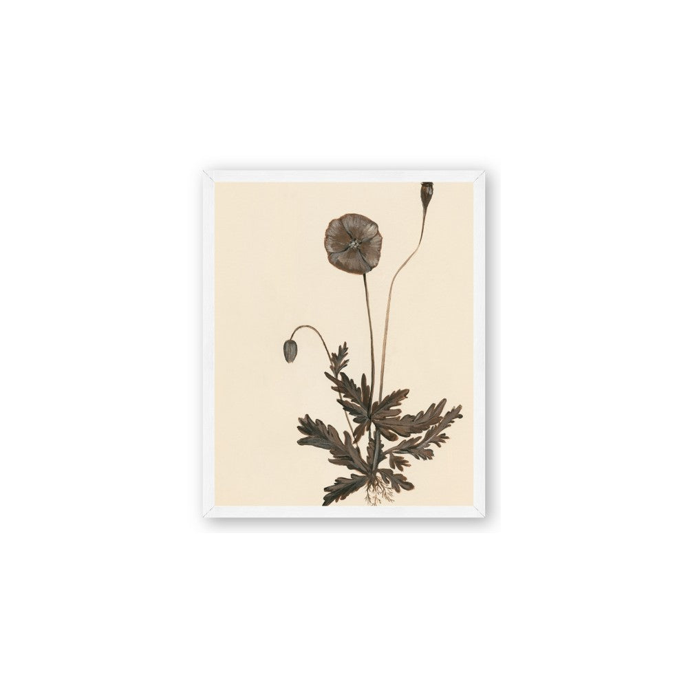 Vintage Botanical II