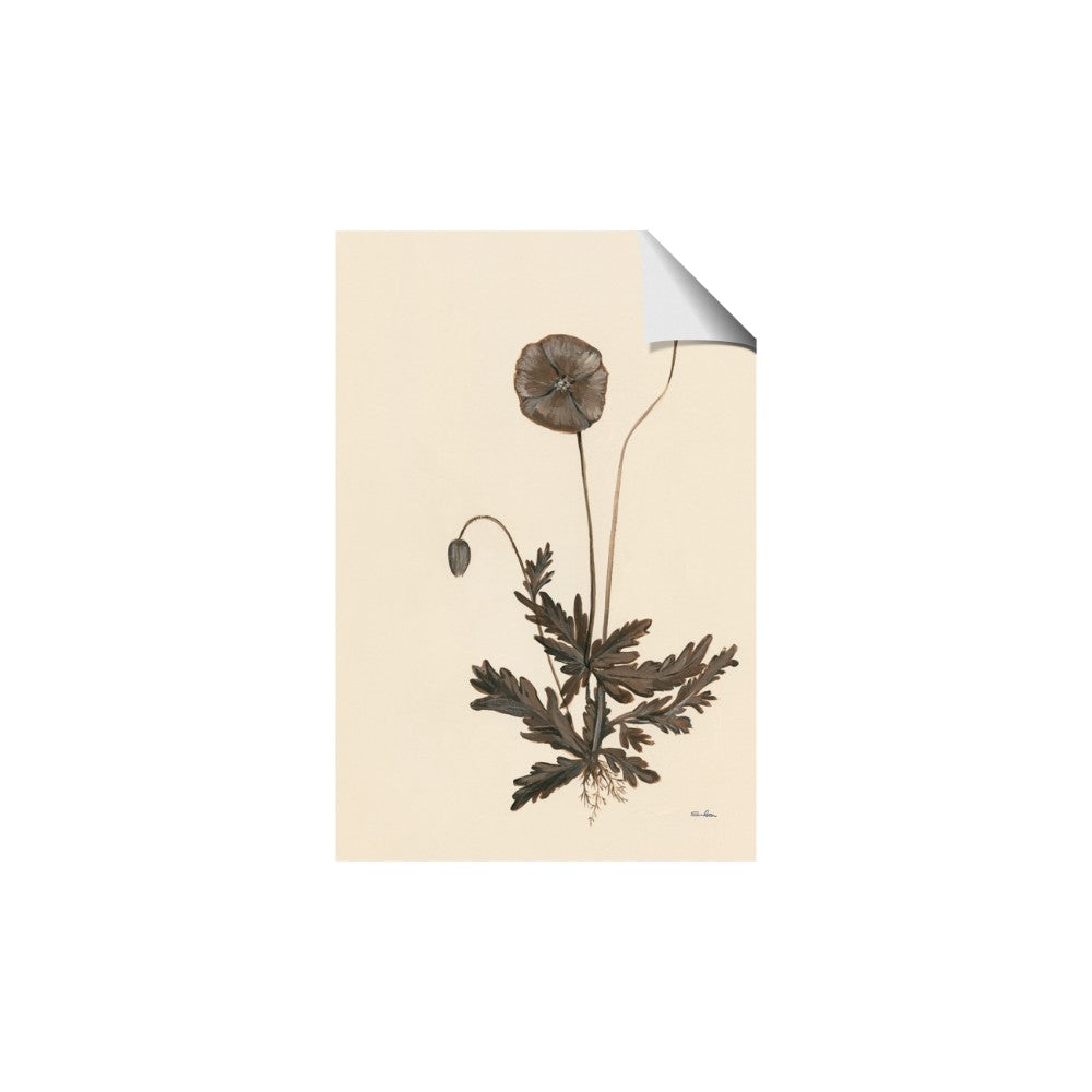 Vintage Botanical II