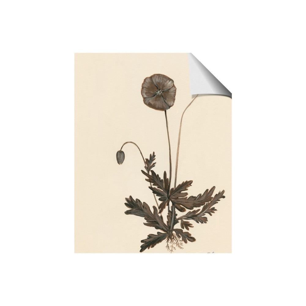 Vintage Botanical II