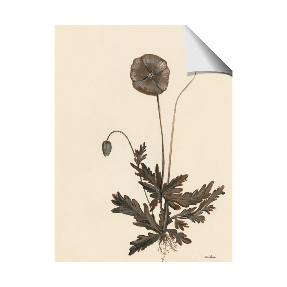 Vintage Botanical II