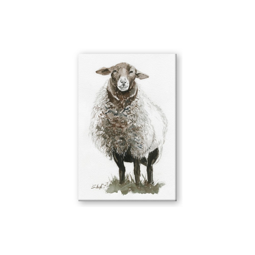 Watercolour Sheep