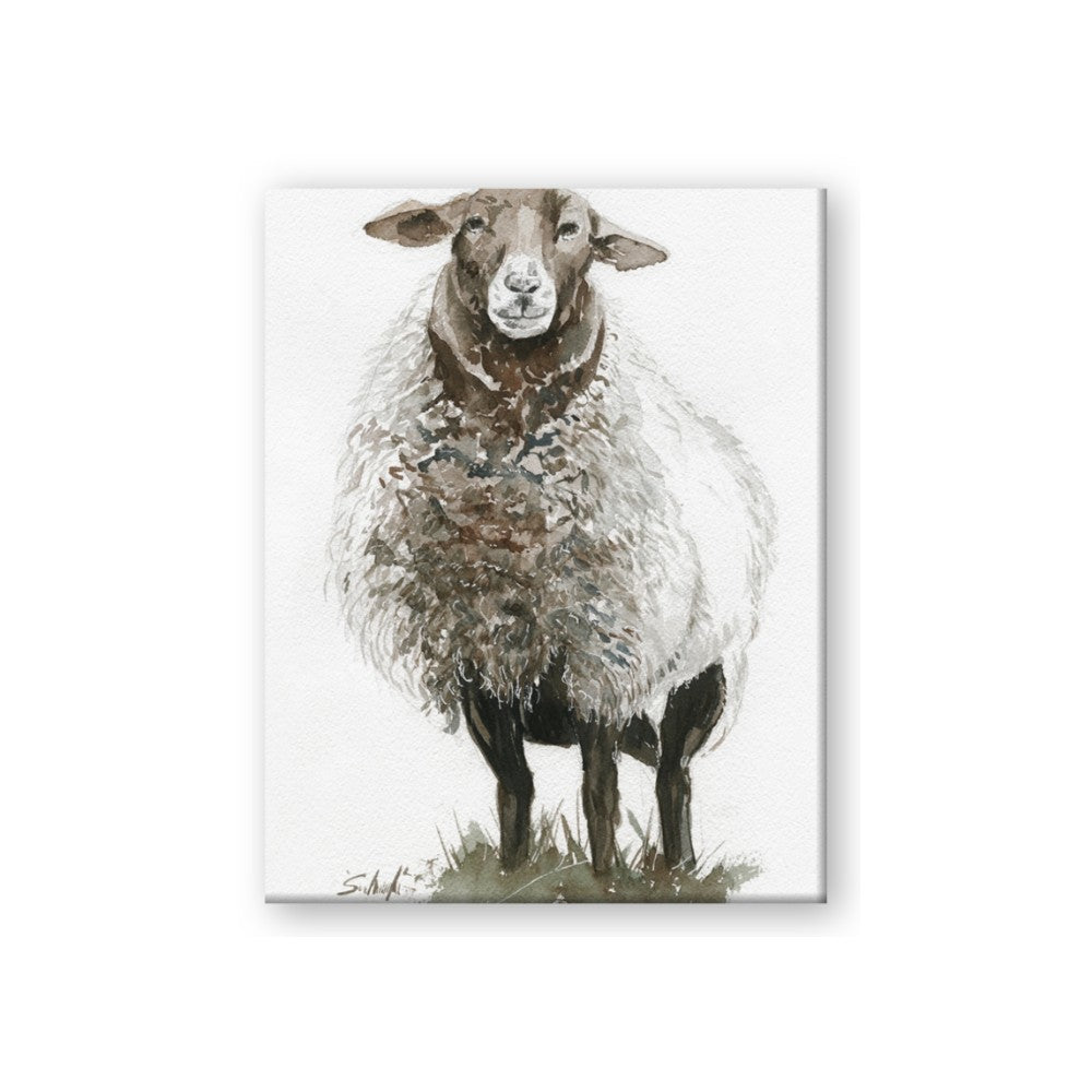 Watercolour Sheep