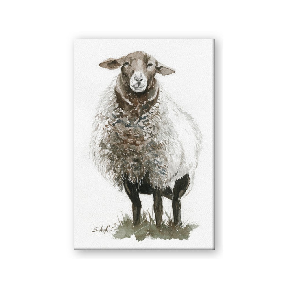 Watercolour Sheep