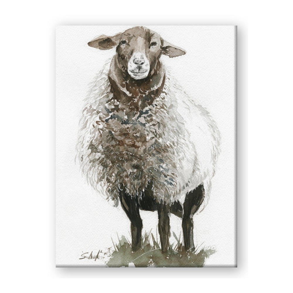 Watercolour Sheep