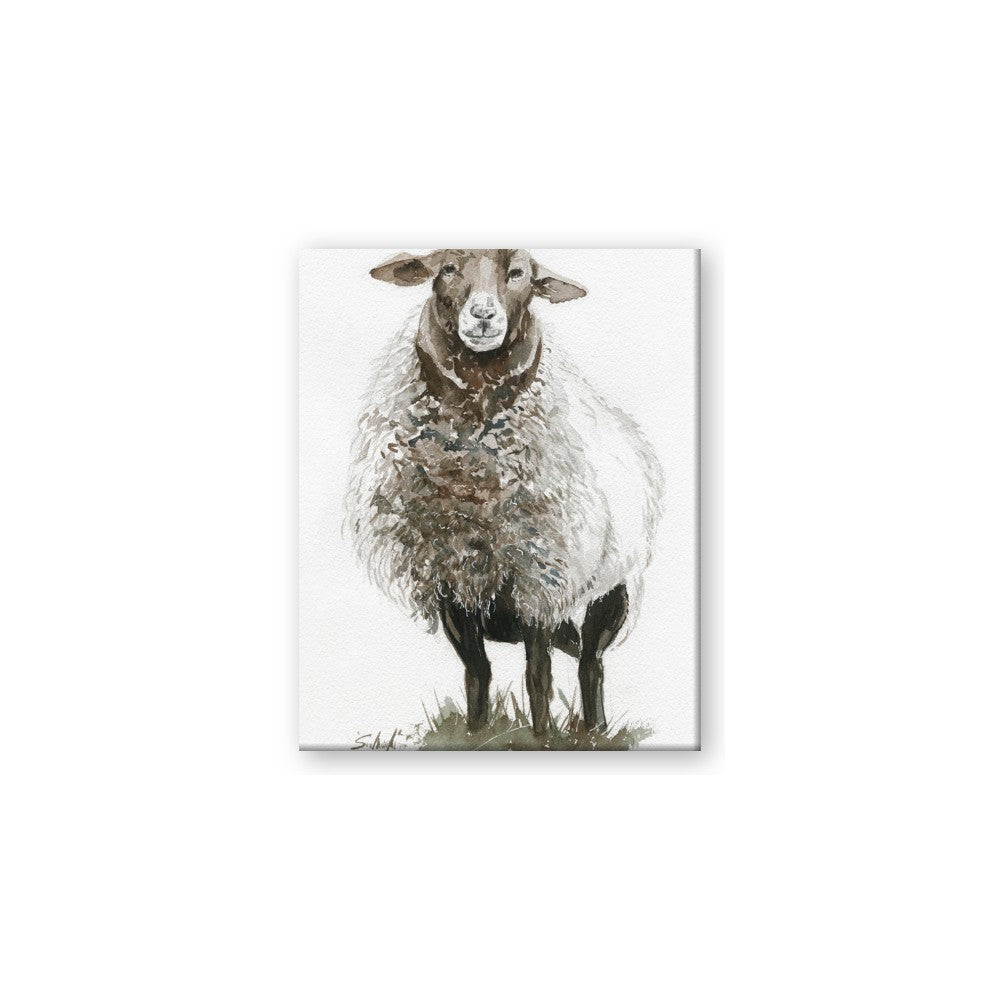 Watercolour Sheep