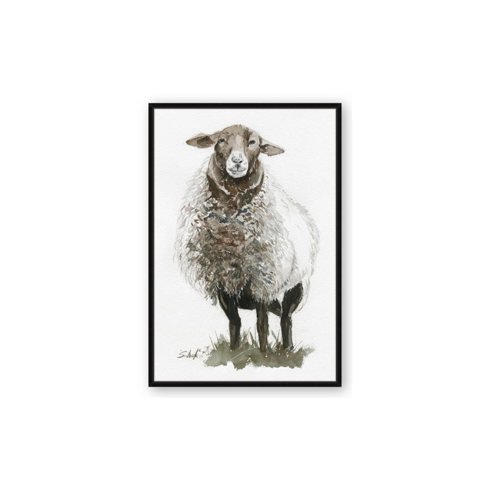 Watercolour Sheep