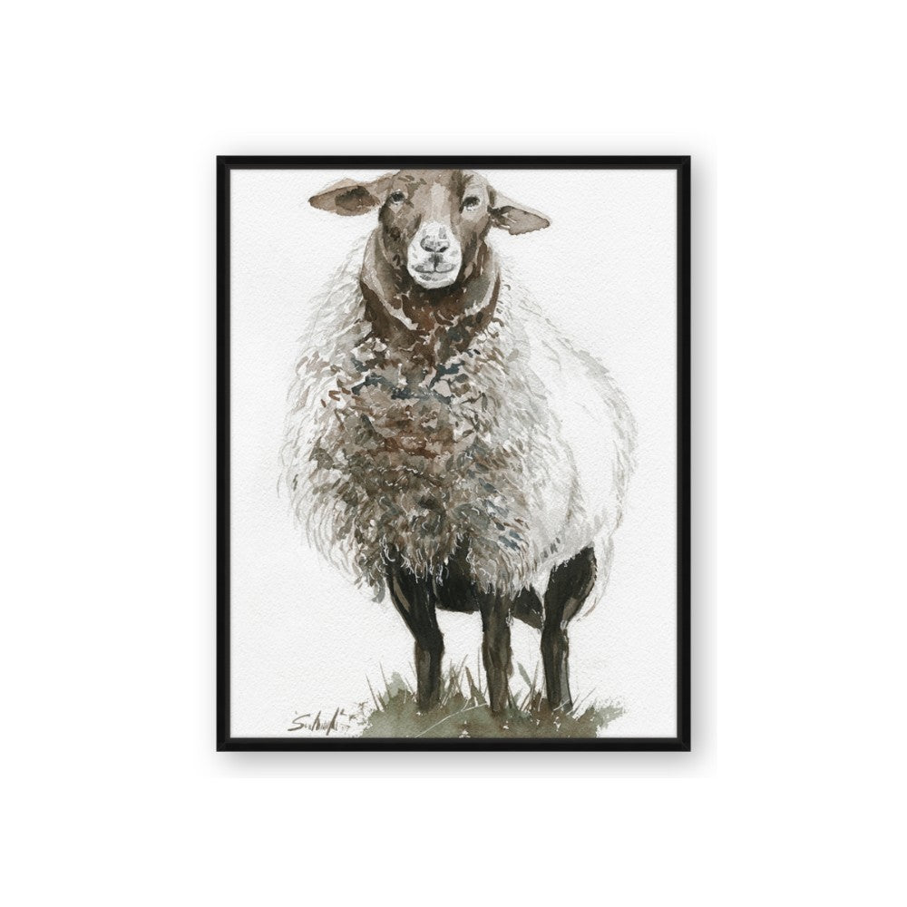 Watercolour Sheep