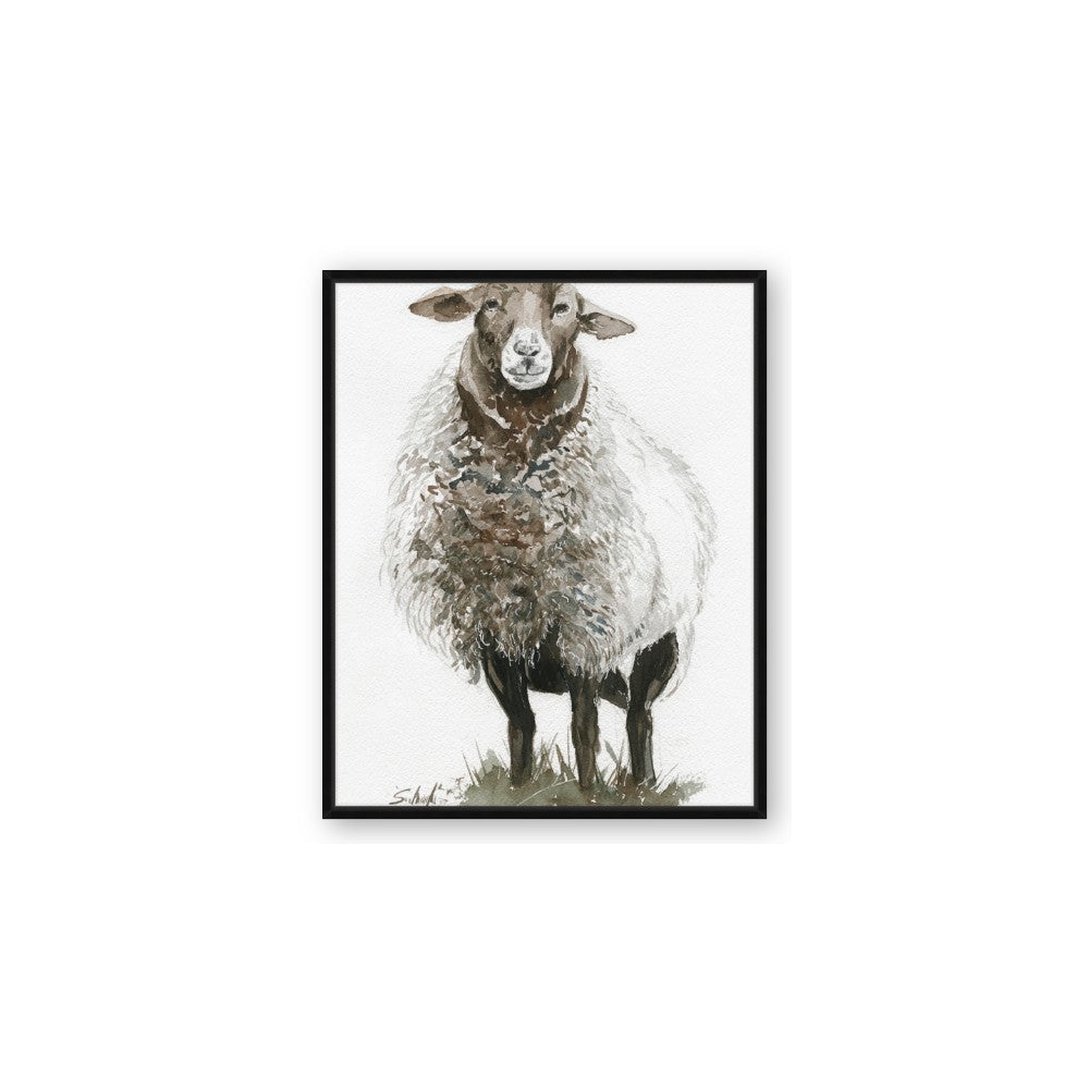 Watercolour Sheep
