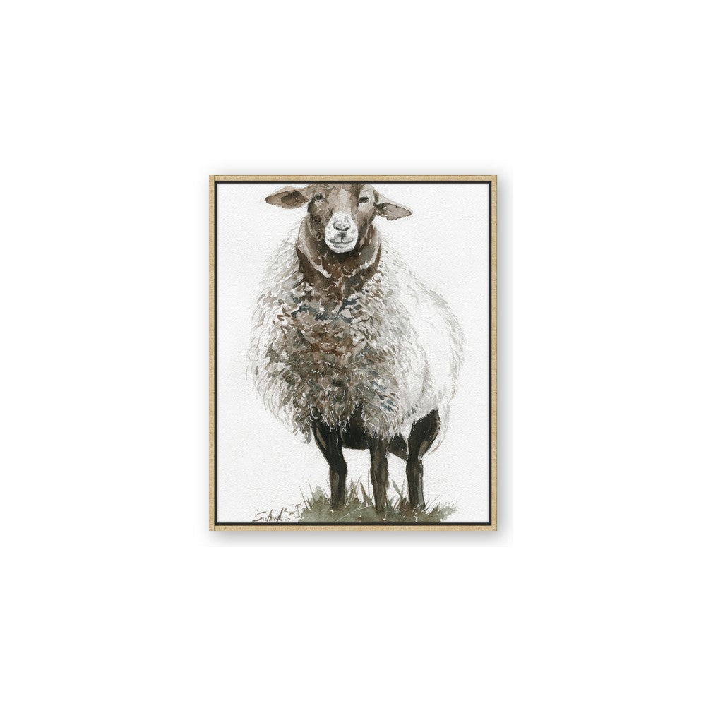 Watercolour Sheep