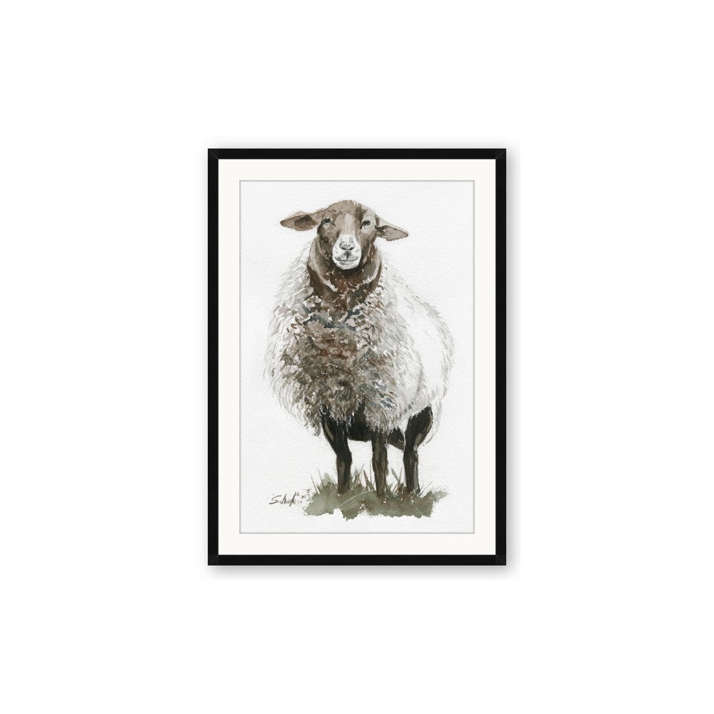 Watercolour Sheep