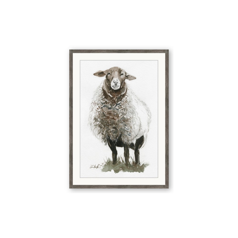 Watercolour Sheep