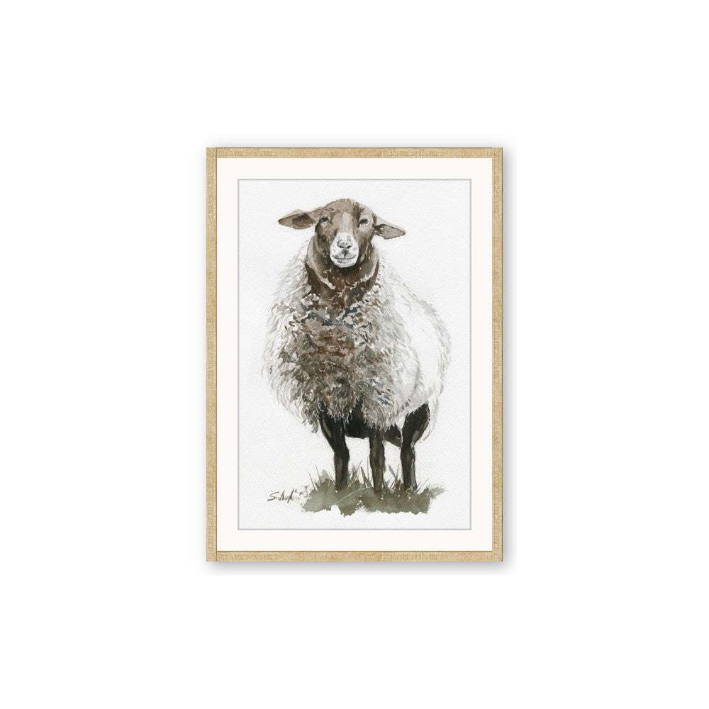 Watercolour Sheep