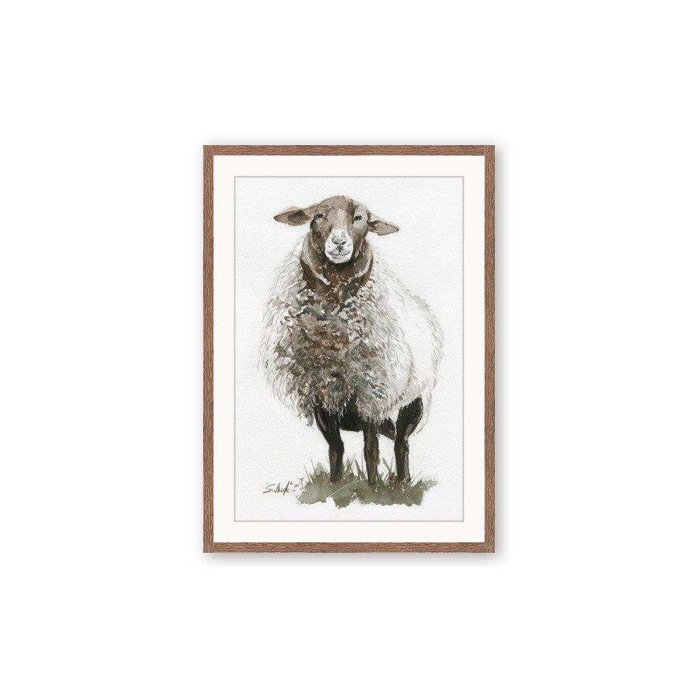 Watercolour Sheep