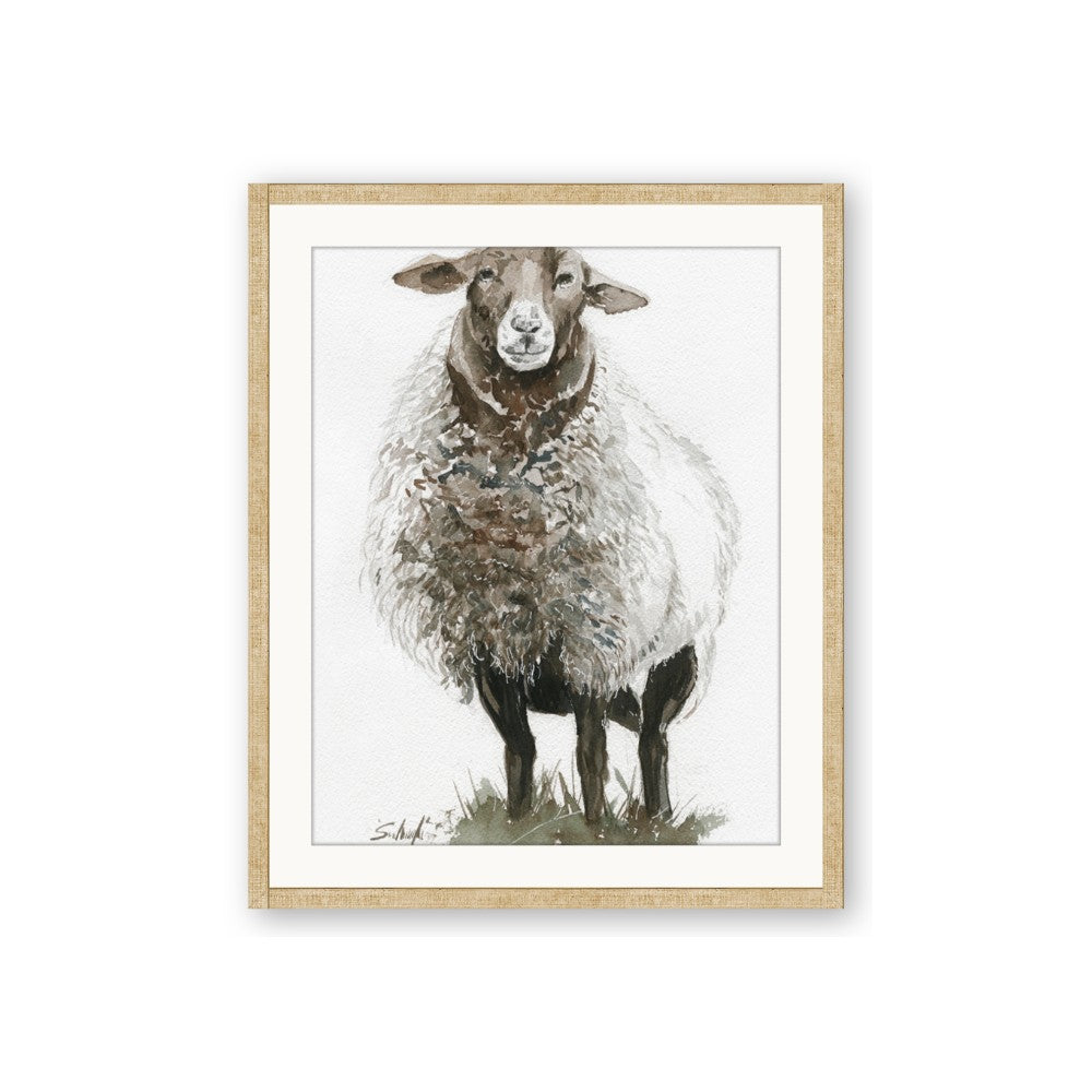 Watercolour Sheep