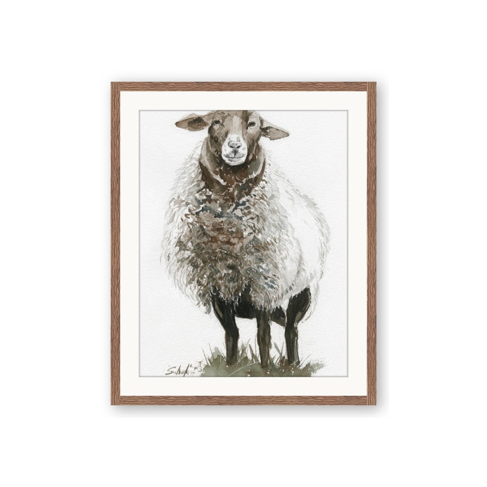 Watercolour Sheep
