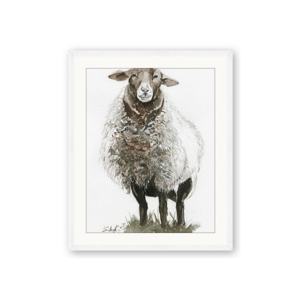 Watercolour Sheep