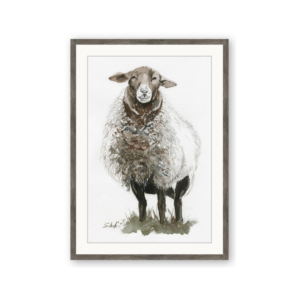 Watercolour Sheep