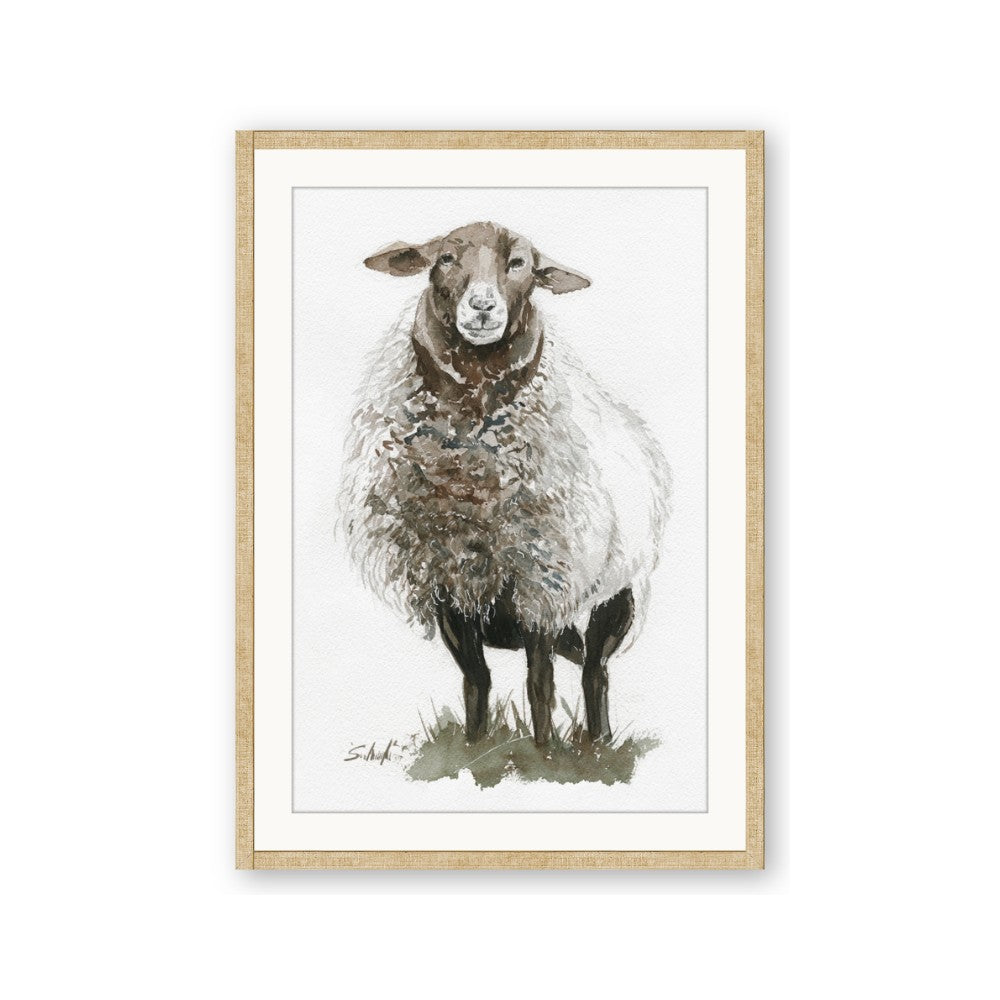 Watercolour Sheep