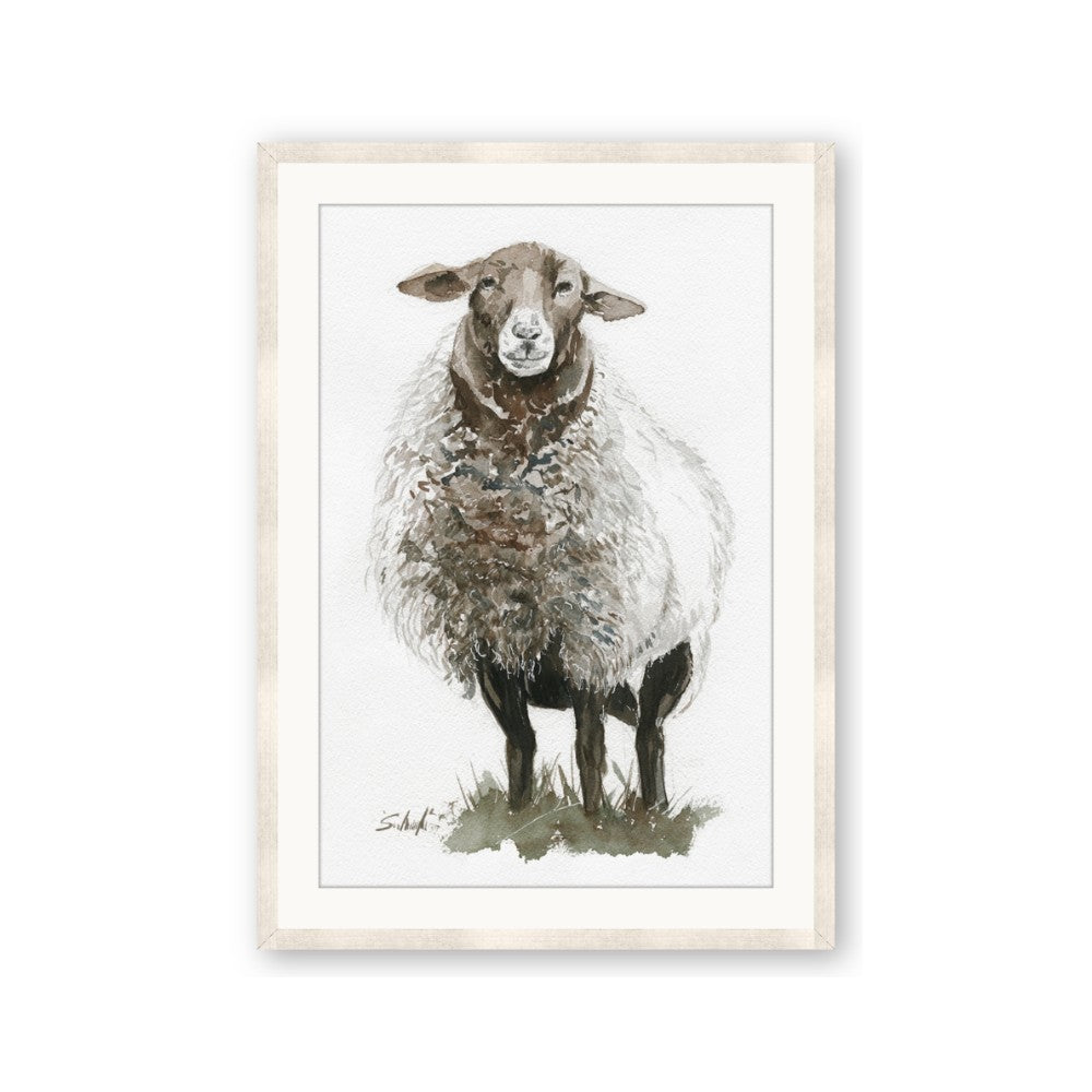 Watercolour Sheep