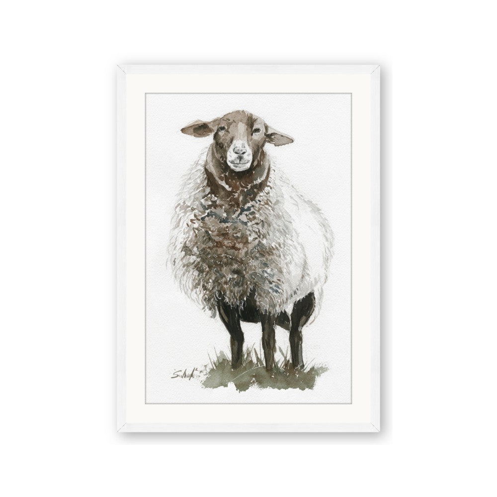 Watercolour Sheep