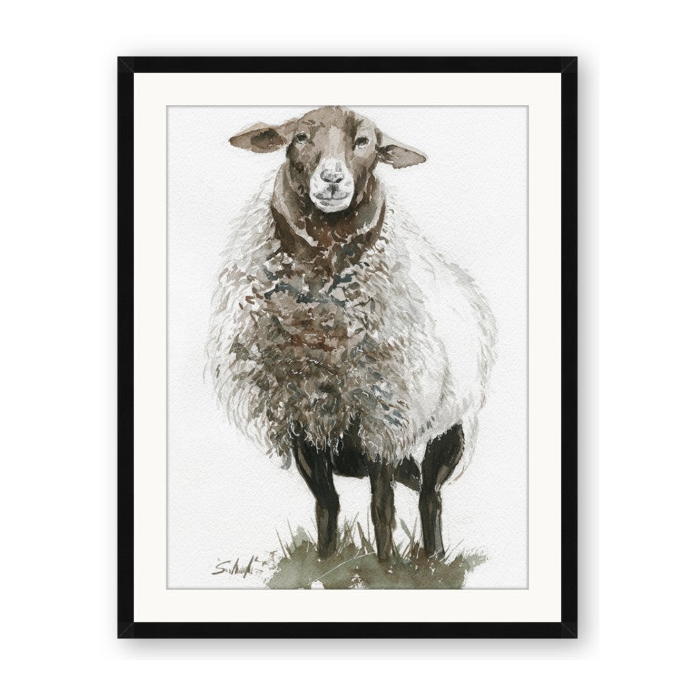 Watercolour Sheep