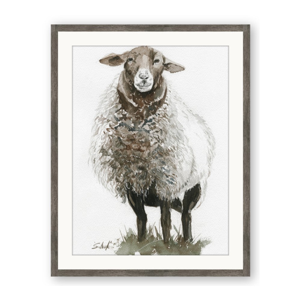 Watercolour Sheep
